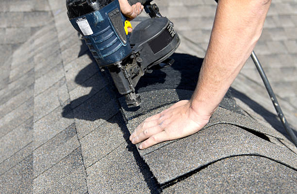 Best Roof Moss and Algae Removal  in Island City, OR